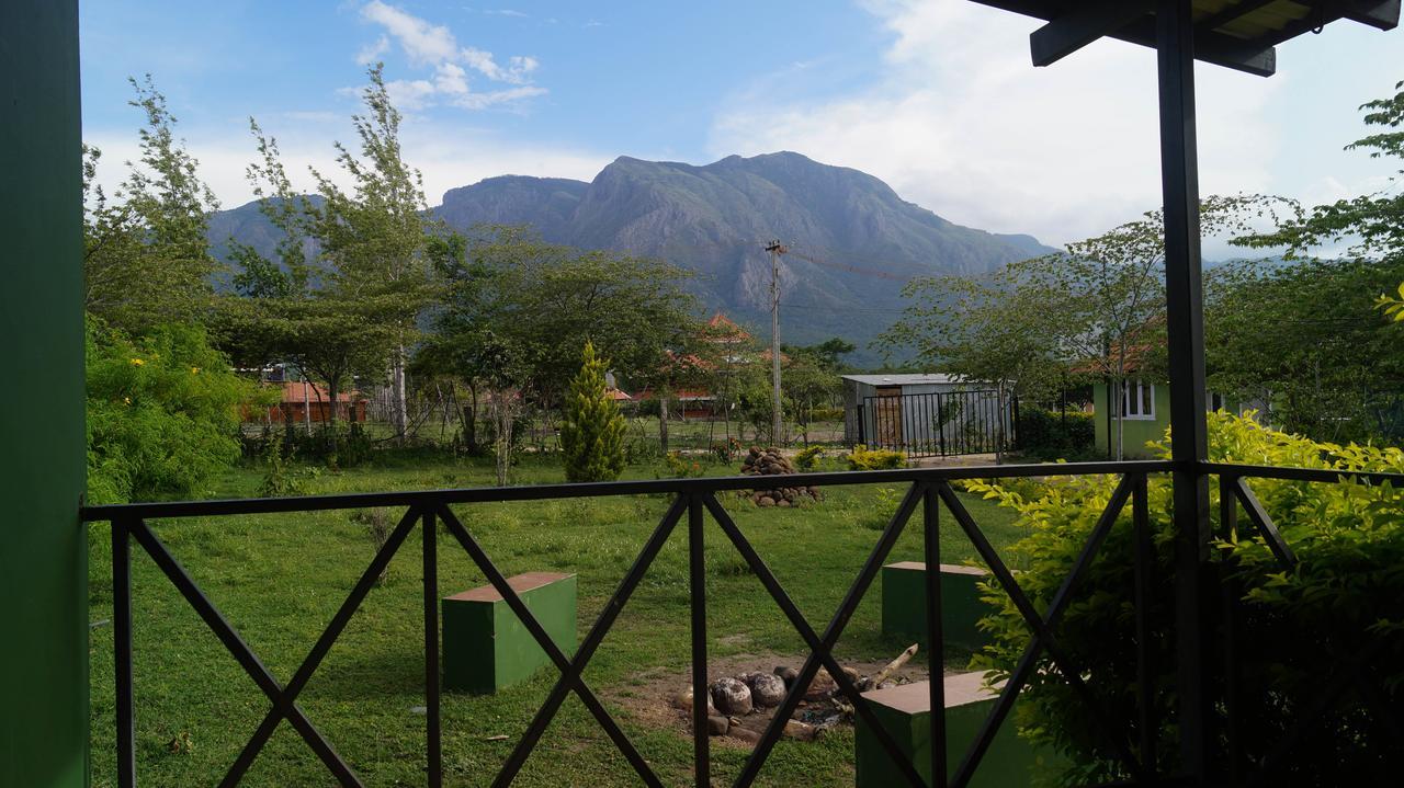 Mountain View Hotel Masinagudi Esterno foto