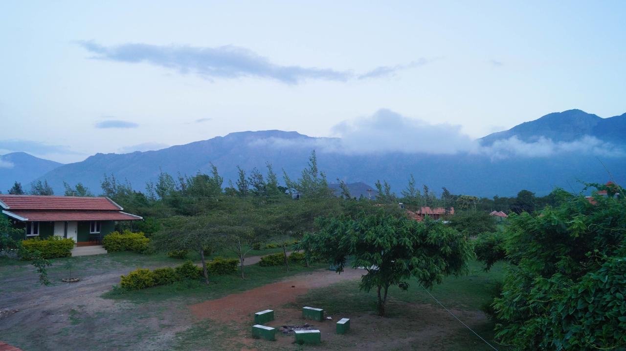 Mountain View Hotel Masinagudi Esterno foto