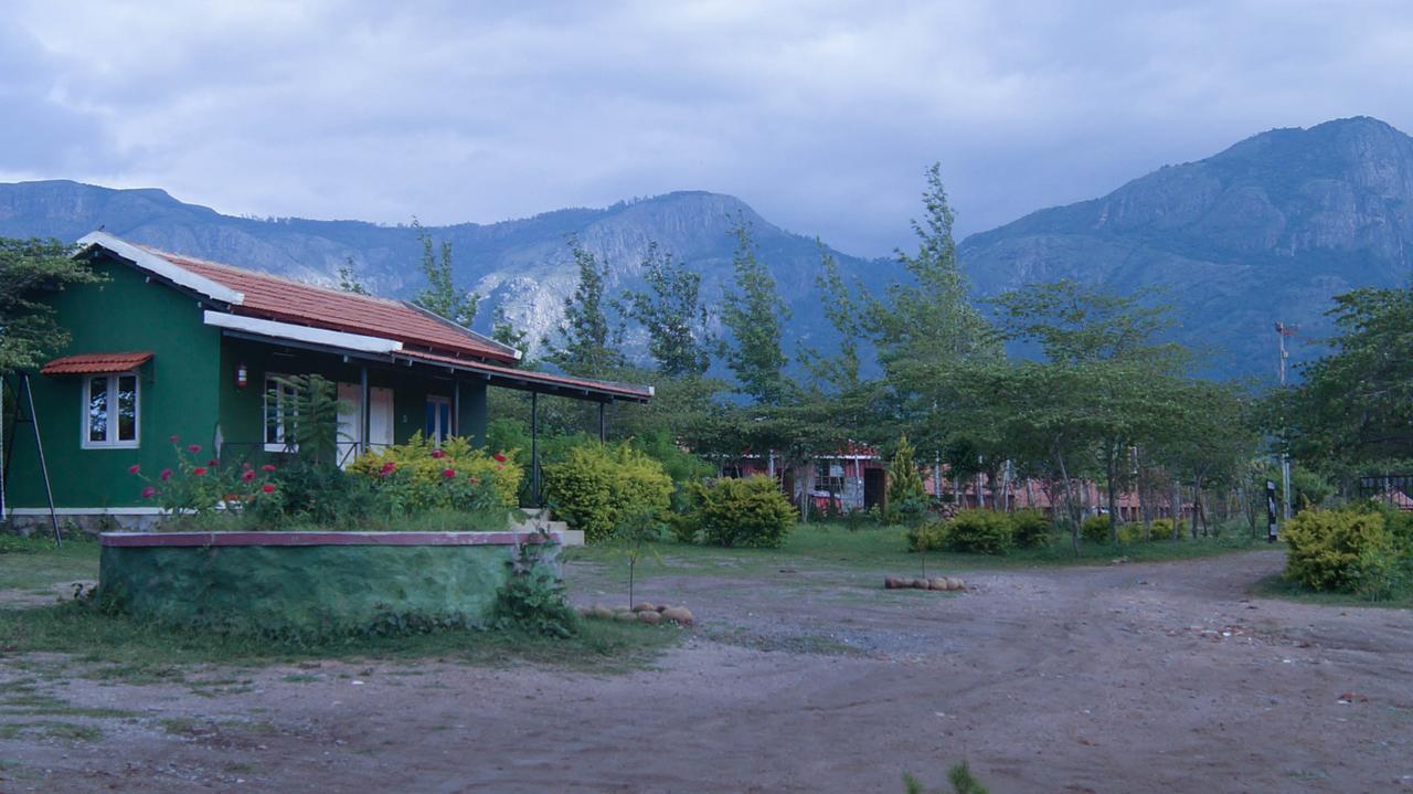 Mountain View Hotel Masinagudi Esterno foto